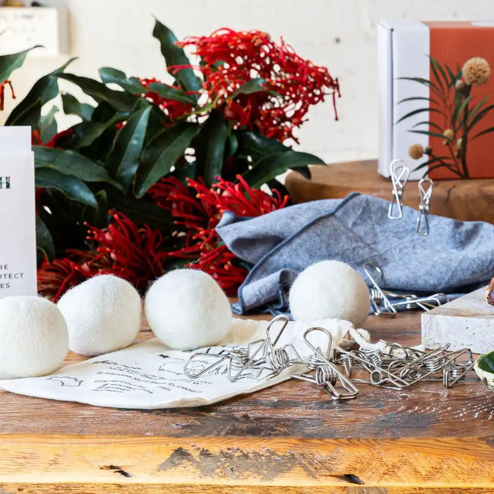 Eco Friendly Laundry Bundle - Pegs & Dryer Balls