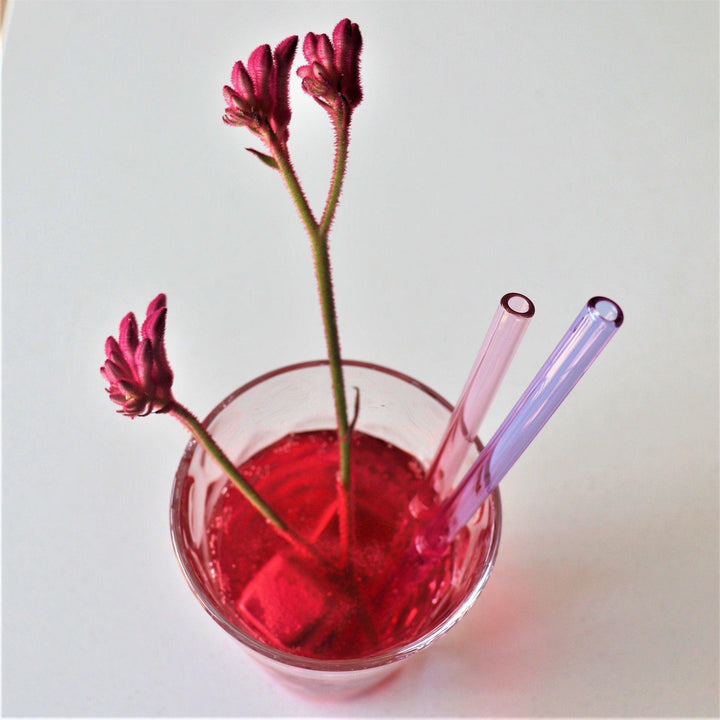 Glass Drinking Straw Set with Metal Straw Cleaner